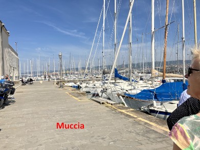 Muggia